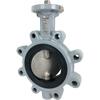 Ductile Iron Butterfly Valves Lug Style Ductile Iron Butterfly Valves Lug Style