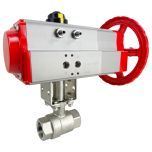 2-1/2" In-line mounting option- DA