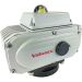 Electric Actuator 5310 in.lbs (600Nm), 110VAC