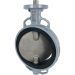Direct Mount 8" Butterfly Valve EPDM