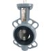 Direct Mount 2" Butterfly Valve Wafer NBR