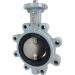 Direct Mount 4" Butterfly Valve Lug FPM