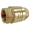 2" Brass Spring Check Valve, NPT