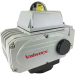Electric Actuator 885 in.lbs (100Nm), 24 VDC, EPS Positioner