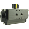 5300/5301 Series Pneumatic Actuators 5300/5301 Series Pneumatic Actuators
