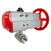 Air Pneumatic/Manual Combination