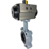 Rack & Pinion Butterfly Valves - Lug