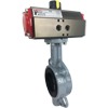 Pneumatic Explosion Proof Butterfly Valves - Wafer