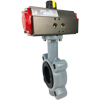 Pneumatic Explosion Proof Butterfly Valves - Lug Style